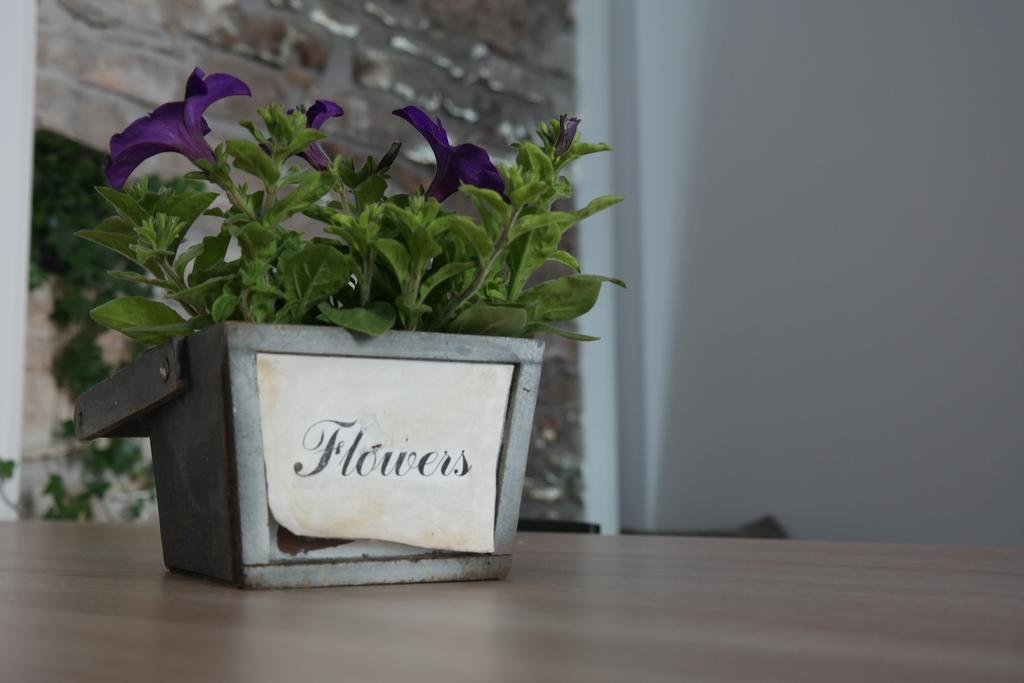 Apartmán Hedona Pula